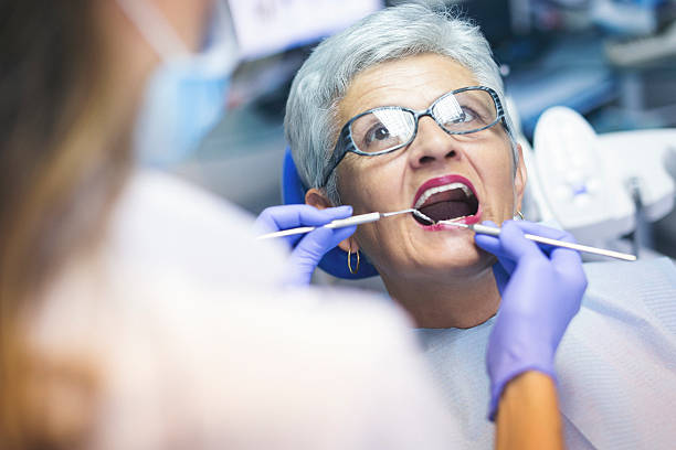 Professional  Holistic Dental Services in South Milwaukee, WI